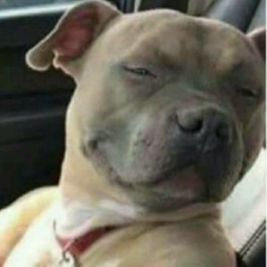 Meet your Posher, Dede